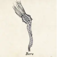Wax Wings Brewing Company Bere : 1