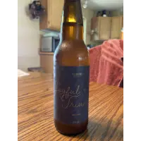Bellwether Brewing Company Joyful and Triumphant