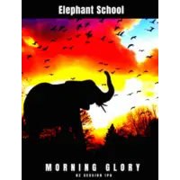 Elephant School Brewing Co Morning Glory