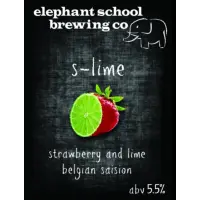Elephant School Brewing Co S-Lime
