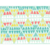 New Park Brewing Don Gato