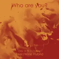 Big Village Brewery Who Are You?