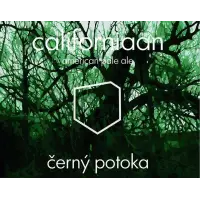černý potoka californiaan (2019)