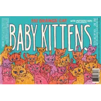 Fat Orange Cat Brew Company Baby Kittens - Motueka