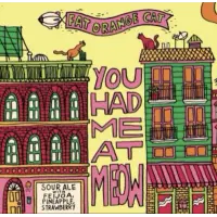Fat Orange Cat Brew Company You Had Me At Meow - Feijoa, Pineapple, Strawberry