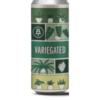 Austin Street Brewery Variegated