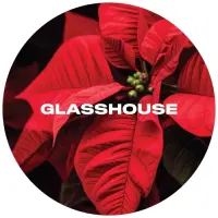Glasshouse Beer Co Poinsettia