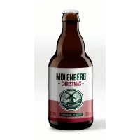 De Meester Molenberg Christmas