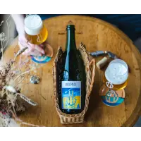 Balance Brewing & Blending Saison De Maison (Blend 9)