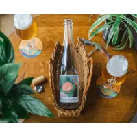 Balance Brewing & Blending Plonk