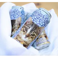 Noctem Artisans Brasseurs Cool Cats and Kittens