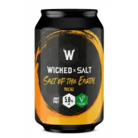 Salt Beer Factory Salt Of The Earth
