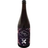 Foamers' Folly Brewing Co. Belgian Rosé