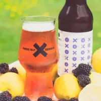 Foamers' Folly Brewing Co. Blackberry Lemoncello Sour