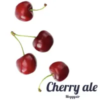 Parabolic Lazarus Brewery Cherry Ale