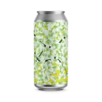 Etko Brewing Hanami Sour 2025