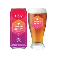 Dead Frog Brewery Super Berry