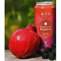Dead Frog Brewery Pomegranate Punch Sour Ale