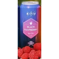 Dead Frog Brewery Black Raspberry Sangria Sour