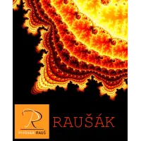 Pivovar Rauš Raušák 11°