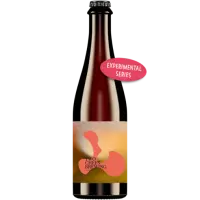 Two Chefs Brewing Experimental Series: Brett Pale Ale