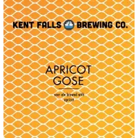 Kent Falls Brewing Apricot Gose