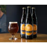 Tributary Brewing Company Biere de Miel