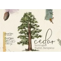 Humble Forager Brewery Cedar