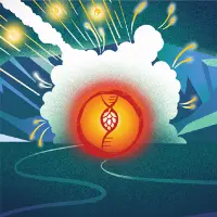 Primordial Brewing Impact Hypothesis