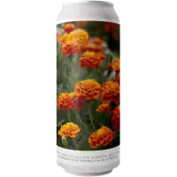 Evil Twin Brewing NYC You Can Cut All the Flowers But You Cannot Keep Spring From Coming