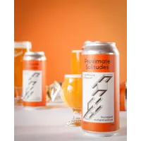 Dageraad Brewing Proximate Solitudes