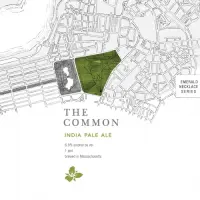 Trillium Brewing Company The Common