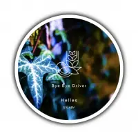 Allkin Brewery Bye Bye Driver