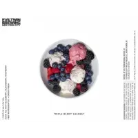 Evil Twin Brewing NYC Triple Berry Sherbet