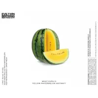 Evil Twin Brewing NYC What Even Is Yellow Watermelon Anyway?