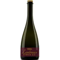 Brewhall Lambrusco Hybrid Ale
