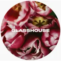 Glasshouse Beer Co Yet To Bloom