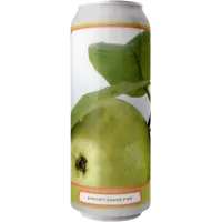 Evil Twin Brewing NYC Spritzy Guava Fizz
