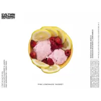 Evil Twin Brewing NYC Pink Lemonade Sherbert