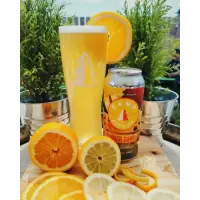 Camp Beer Co. Summer Camp