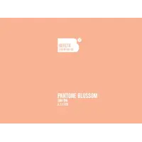 Bereta Brewing Co. Pantone Blossom