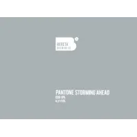 Bereta Brewing Co. Pantone Storming Ahead