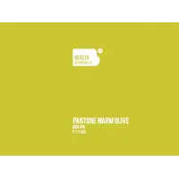 Bereta Brewing Co. Pantone Warm Olive
