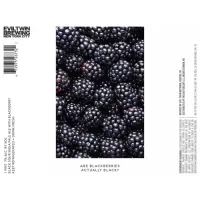 Evil Twin Brewing NYC Are Blackberries Actually Black?