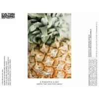 Evil Twin Brewing NYC A Pineapple a Day Keeps the Doctor Away