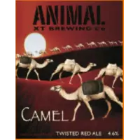 Animal Brewing Co Camel