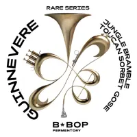 B*Bop Fermentory GUINNEVERE