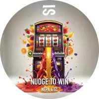Chaos Brew Co (Brew Portfolio Ltd) Nudge To Win