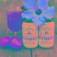 Westbrook Brewing Co. Orange Hibiscus Gose