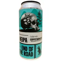 Wild Raccoon End Of The Road